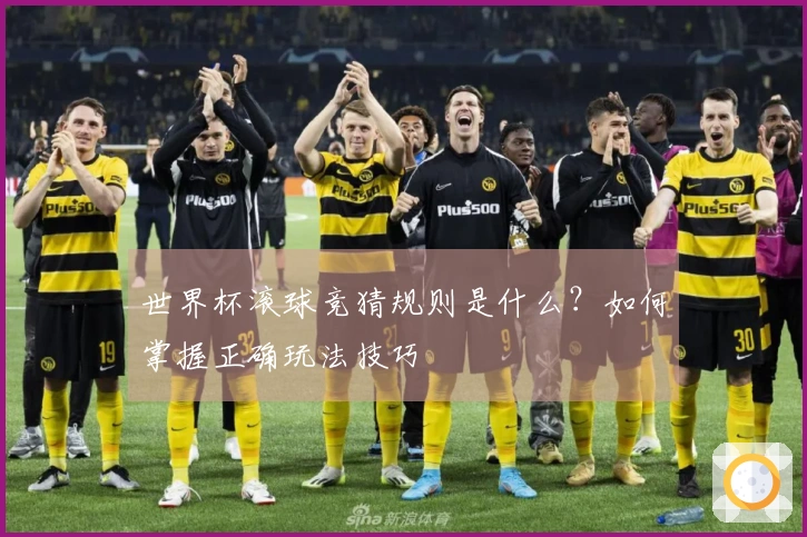 世界杯滚球竞猜规则是什么?如何掌握正确玩法技巧