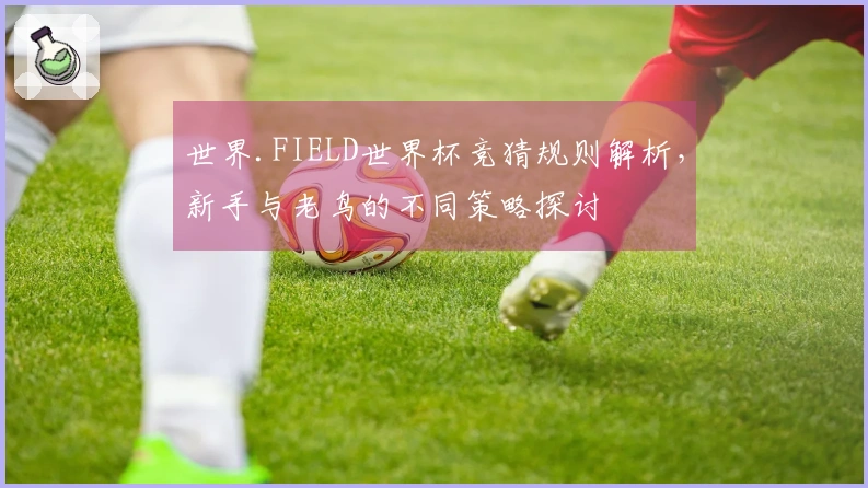 世界.FIELD世界杯竞猜规则解析，新手与老鸟的不同策略探讨
