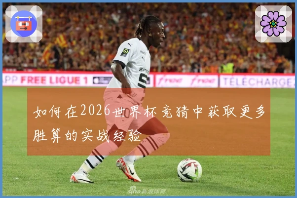 如何在2026世界杯竞猜中获取更多胜算的实战经验