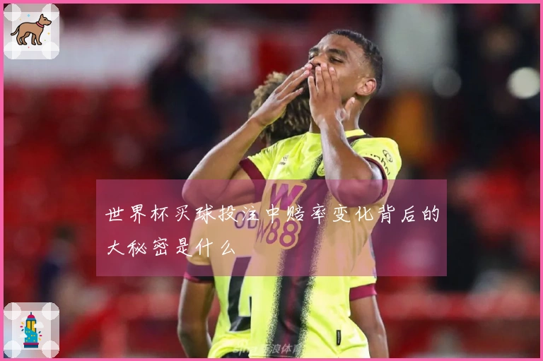世界杯买球投注中赔率变化背后的大秘密是什么