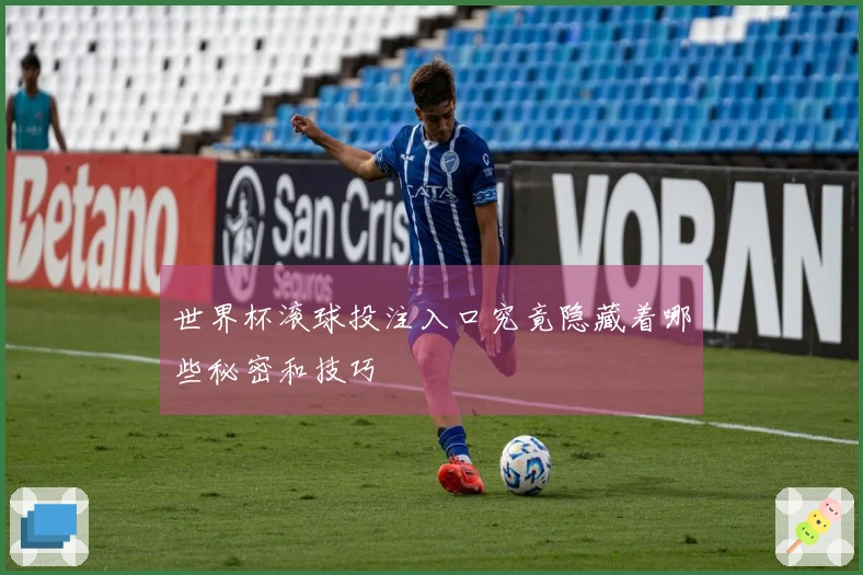 世界杯滚球投注入口究竟隐藏着哪些秘密和技巧