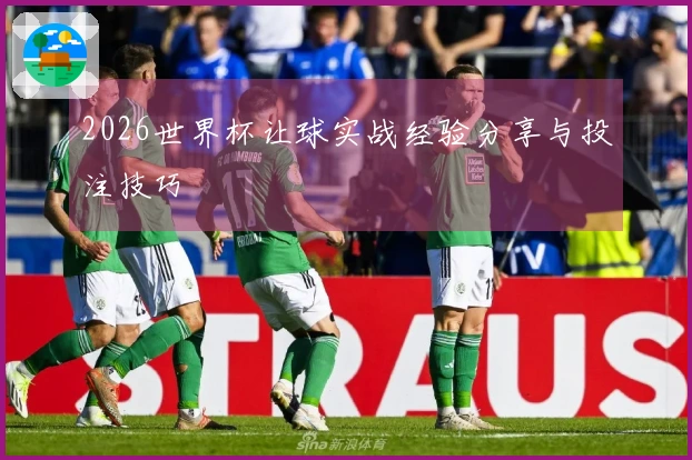 2026世界杯让球实战经验分享与投注技巧