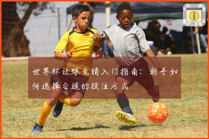 世界杯让球竞猜入门指南：新手如何选择合适的投注方式