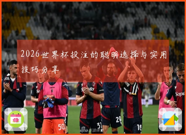 2026世界杯投注的聪明选择与实用技巧分享