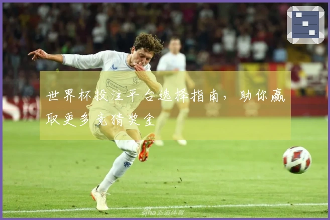 世界杯投注平台选择指南，助你赢取更多竞猜奖金