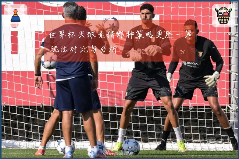 世界杯买球竞猜哪种策略更胜一筹 玩法对比与分析