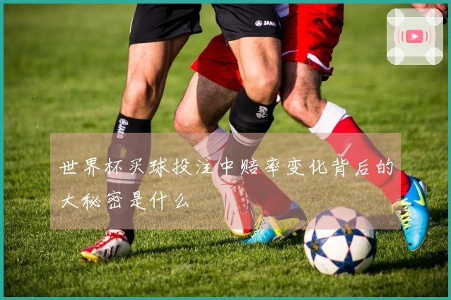 世界杯买球投注中赔率变化背后的大秘密是什么