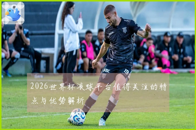 2026世界杯滚球平台值得关注的特点与优势解析