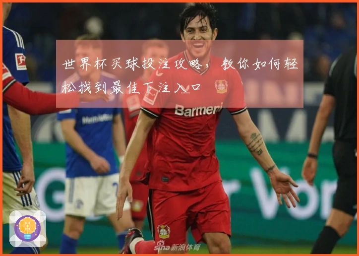 世界杯买球投注攻略，教你如何轻松找到最佳下注入口