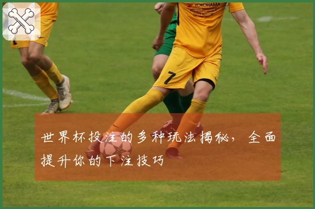 世界杯投注的多种玩法揭秘，全面提升你的下注技巧
