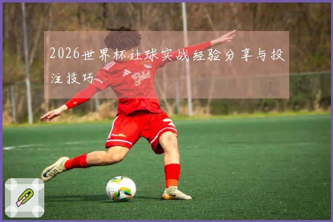 2026世界杯让球实战经验分享与投注技巧