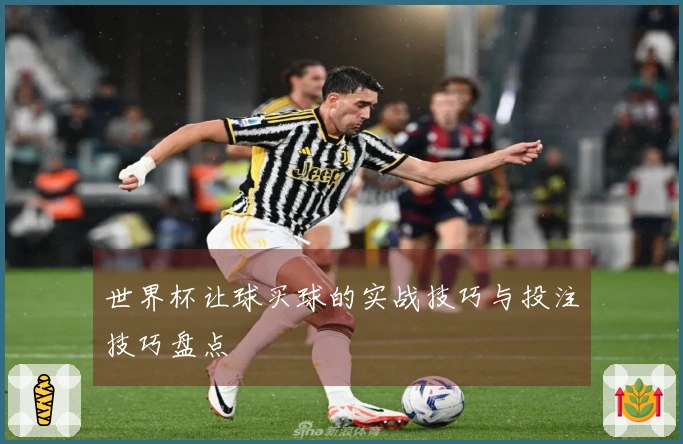 世界杯让球买球的实战技巧与投注技巧盘点