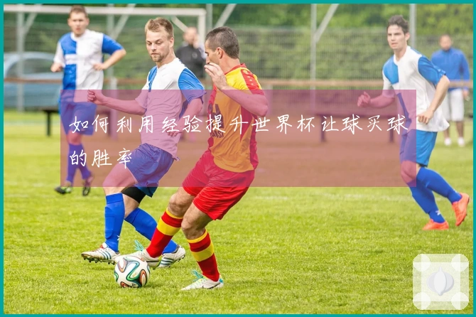 如何利用经验提升世界杯让球买球的胜率