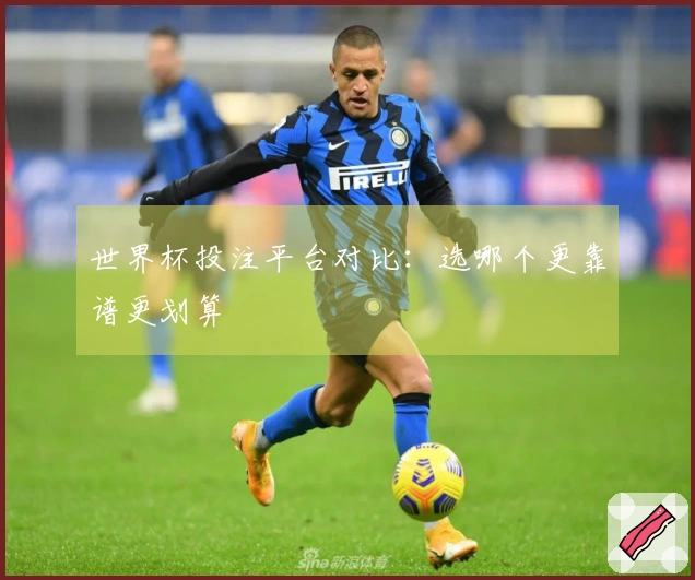 世界杯投注平台对比：选哪个更靠谱更划算