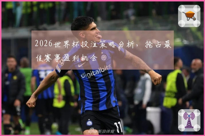 2026世界杯投注策略分析,抢占最佳赛事盈利机会