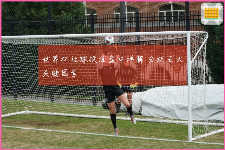 世界杯让球投注盘口详解 分析五大关键因素
